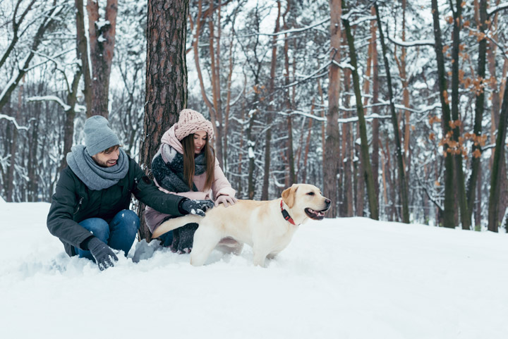 Fortalece tu sistema inmune para disfrutar del invierno.