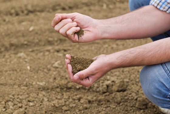 El empobrecimiento del suelo provoca alimentos menos nutritivos.